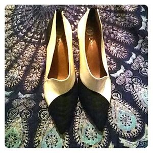 Jeffrey Cambell Ladies size 11 shoe